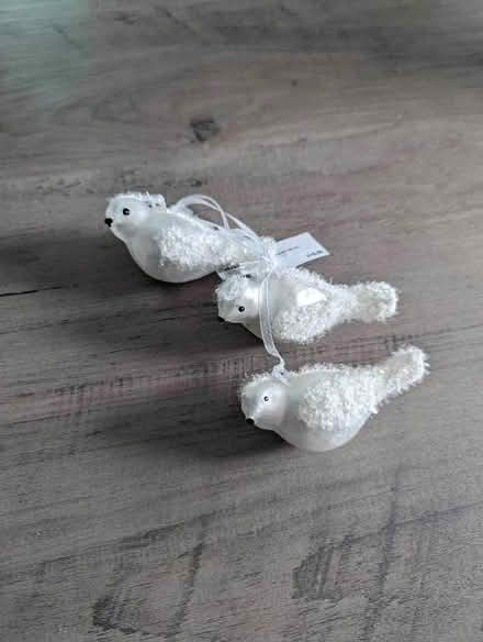 Photo of free Christmas Tree Decorations (Portobello EH15) #1