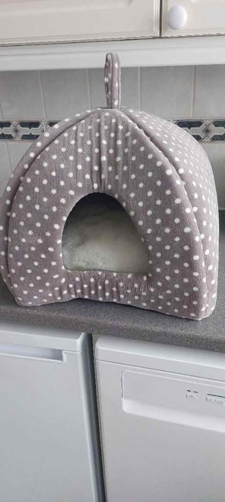 Photo of free Igloo cat bed (Hawley GU17) #1