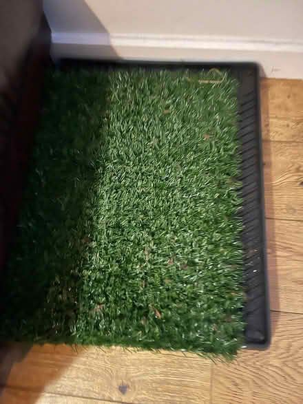 Photo of free 15kg dog dry food (EN5) #2