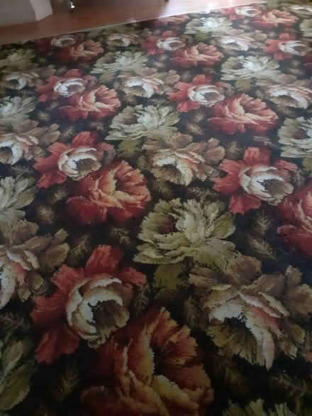 Photo of free Used carpet (Garston L19) #1