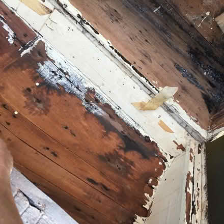 Photo of free Wood Treasure Chest circa 1865 (Clearwater Beach) #4