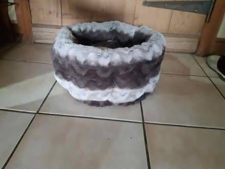 Photo of free Cat bed (Lowther CA10) #1