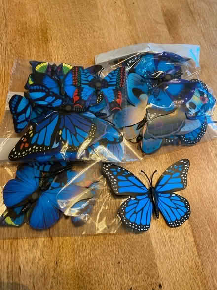 Photo of free Decorative butterflies (72nd st Bay Ridge) #1
