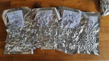 Photo of free 3 packs of hops for home brewing (Ninfield TN33) #1