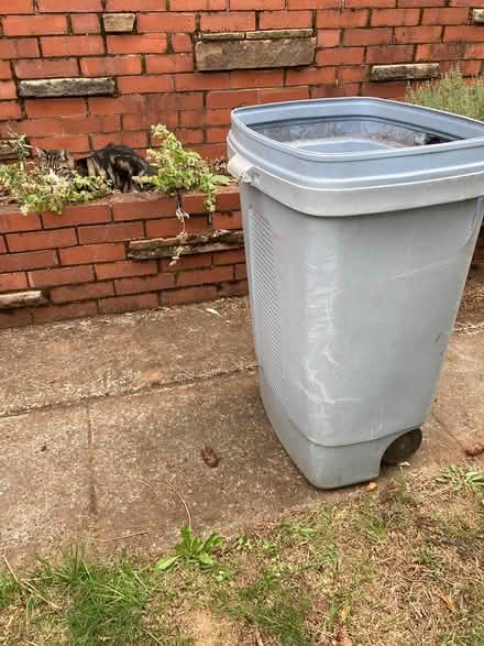 Photo of free Tall trash bin (NE Portland, Concordia) #2
