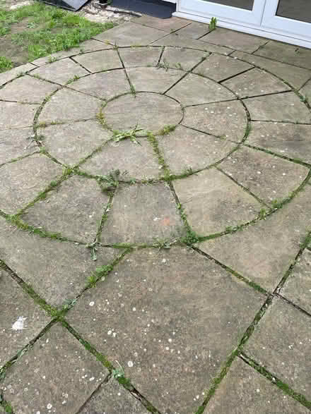 Photo of free Sandstone flag stones (Great Bromley CO7) #2