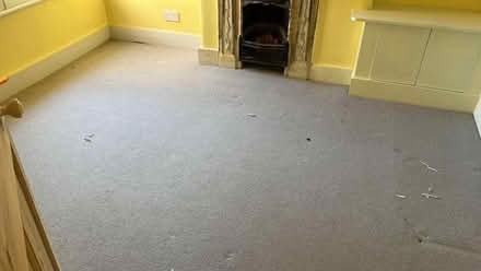 Photo of free Light grey carpet with underlay 3 x 3.5 m (Watford Heath WD19) #2
