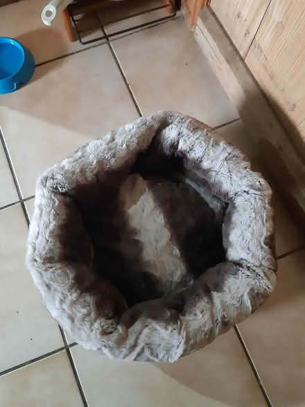 Photo of free Cat bed (Lowther CA10) #2