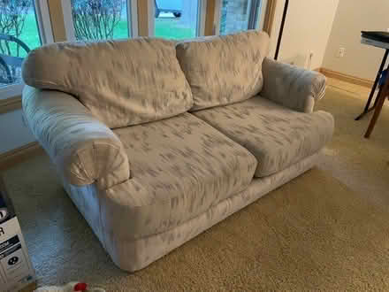Photo of free Loveseat - cream with blue, rose (Edina) #2
