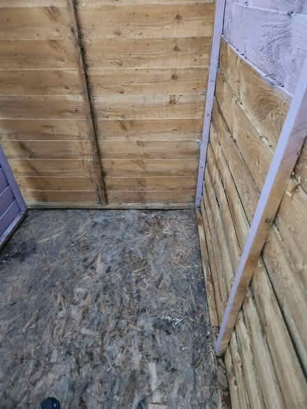 Photo of free Shed 6x4 (Herongate SY1) #2