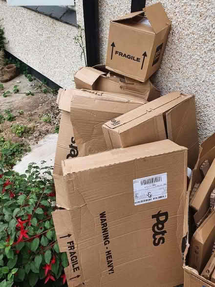 Photo of free Various boxes (Lindale LA11) #1