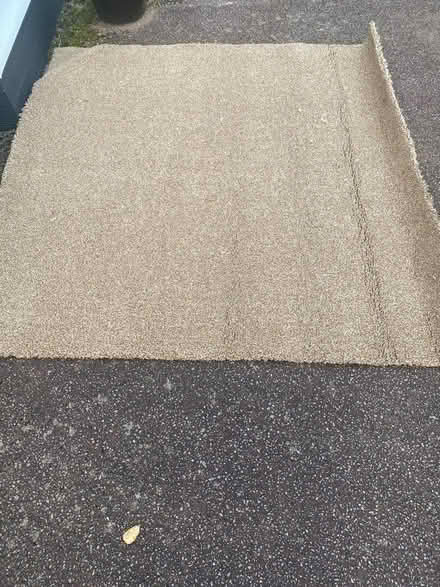 Photo of free New Offcut carpet (Olton Solihull) #1