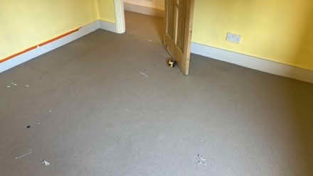 Photo of free Light grey carpet with underlay 3 x 3.5 m (Watford Heath WD19) #3