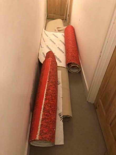 Photo of free Light grey carpet with underlay 3 x 3.5 m (Watford Heath WD19) #1