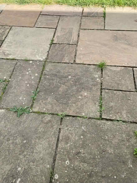 Photo of free Sandstone flag stones (Great Bromley CO7) #1