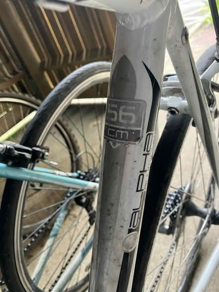 Photo of free Road bike 56 cm (Tetbury) #1
