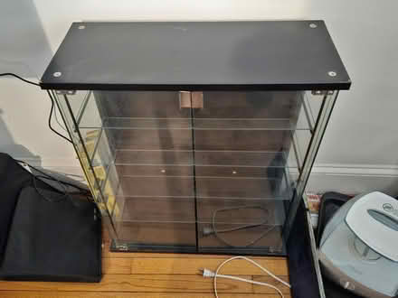 Photo of free Glass and Black Wood Curio Cabinet (Honeybrook, PA (Rte. 322)) #1