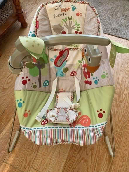 Photo of free Baby chair (Ripley, Woking) #1