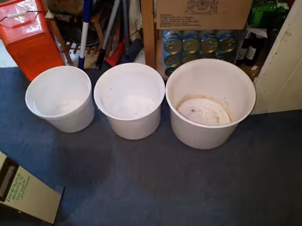 Photo of free Plant pots (Daisy Hill BD9) #1