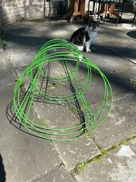 Photo of free 3 New Tomato Cages (NW Evanston) #2