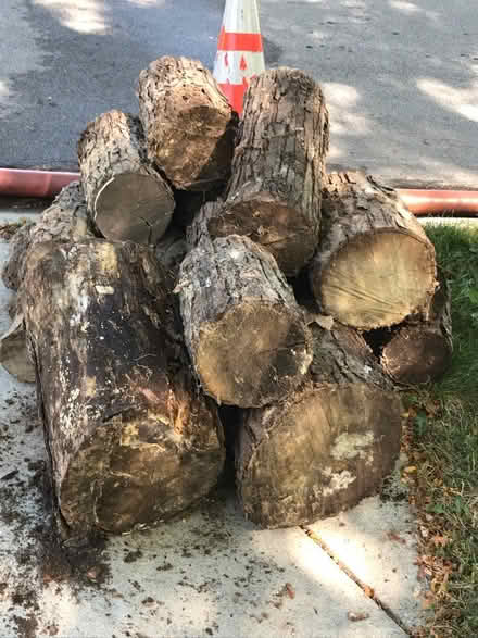 Photo of free Firewood logs (southwest Schaumburg IL) #2