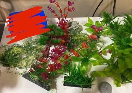 Photo of free Aquarium Supplies (Tigard) #1