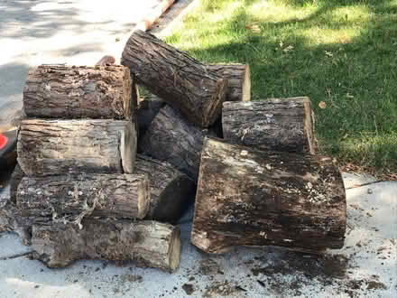 Photo of free Firewood logs (southwest Schaumburg IL) #1