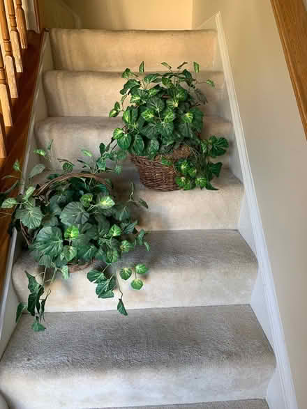 Photo of free Artificial Plant Baskets (Manassas/Wellington area) #1