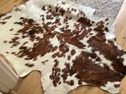 Photo of free Real cowhide (Fulwood, Preston PR2) #1