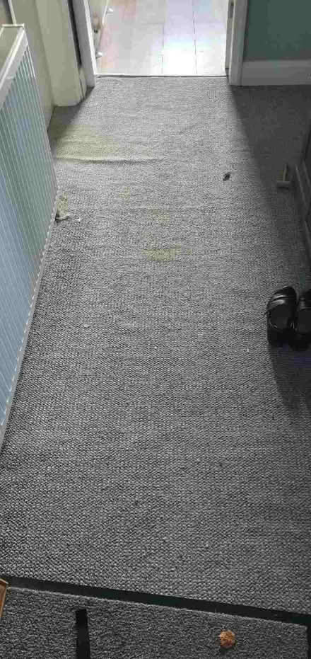 Photo of free Stairs, hallway and landing carpet (Manor Top S12) #1