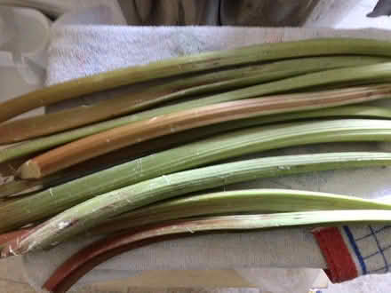 Photo of free Rhubarb (Malvern WR14) #1
