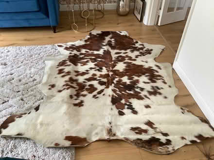 Photo of free Real cowhide (Fulwood, Preston PR2) #2
