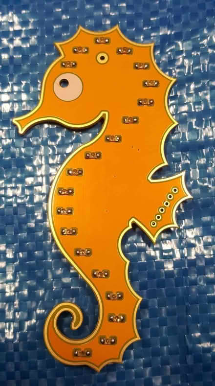 Photo of free Seahorses (Abbeyhill EH7) #1
