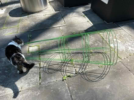 Photo of free 3 New Tomato Cages (NW Evanston) #1