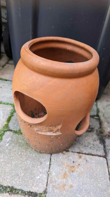Photo of free Plant pot (Calverton MK19) #1