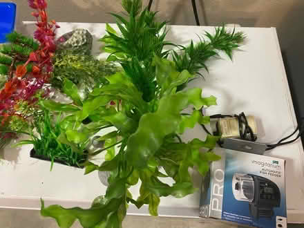 Photo of free Aquarium Supplies (Tigard) #2