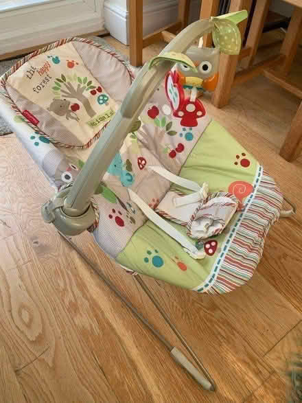 Photo of free Baby chair (Ripley, Woking) #2