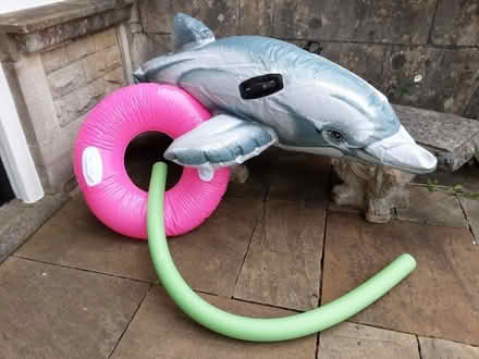 Photo of free Pool toys (Bear Flat) #1