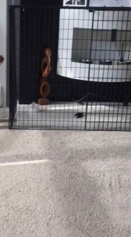 Photo of free Fireplace guard. (Norbury SW16) #2