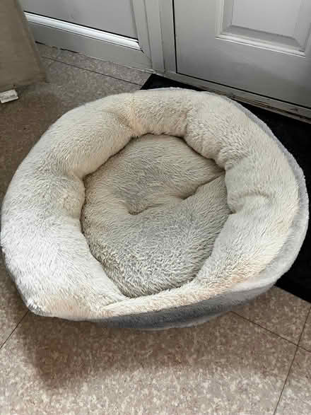 Photo of free Dog bed WN7 (WN7) #1