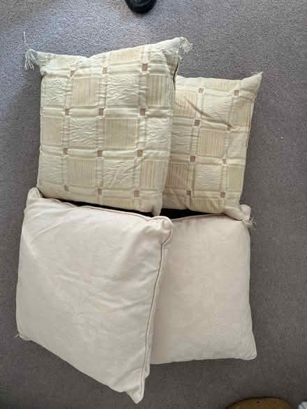 Photo of free 4 cushions, two designs (Cutteslowe OX2) #1