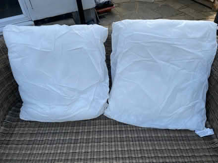 Photo of free 600x600 cushion filler pads x2 (Sutton) #1