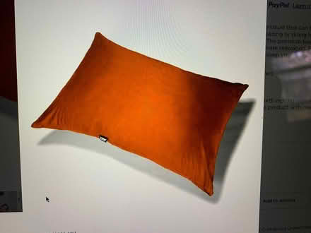 Photo of free Body Size Floor Pillows (4) (Park Slope, Brooklyn) #1