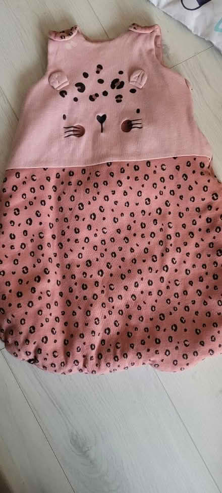 Photo of free 0-3 months girls sleeping bag (WS14) #1