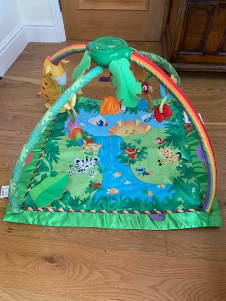 Photo of free Baby play mat (Ripley, Woking) #1