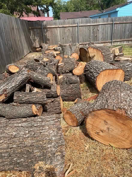 Photo of free Pecan logs (West Love) #1