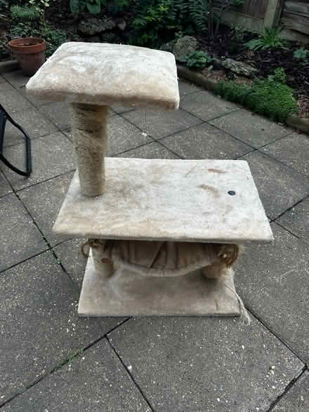 Photo of free Cat scratch tower (East Finchley N2) #2