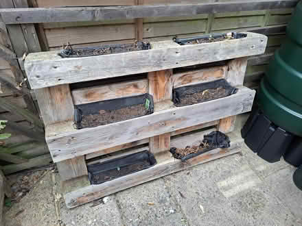 Photo of free Pallet planter (Littlemore, OX4) #3