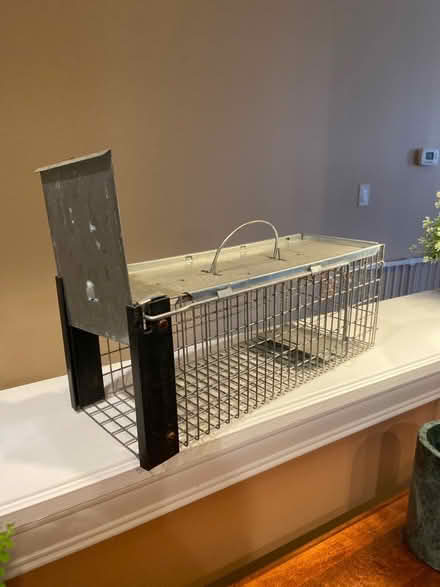 Photo of free Hav-a-Hart trap for small mammals (Mason) #2