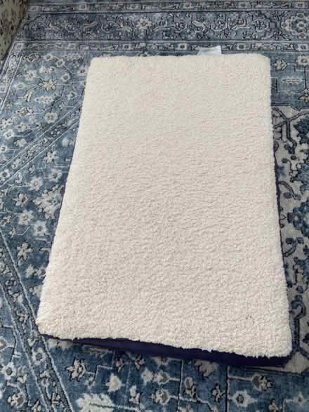 Photo of free Dog bed memory foam (Hampden Park BN22) #1